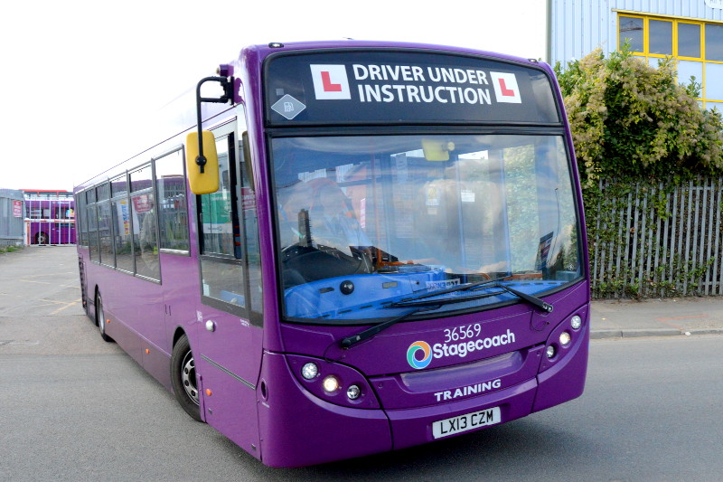 trainer
                                      bus