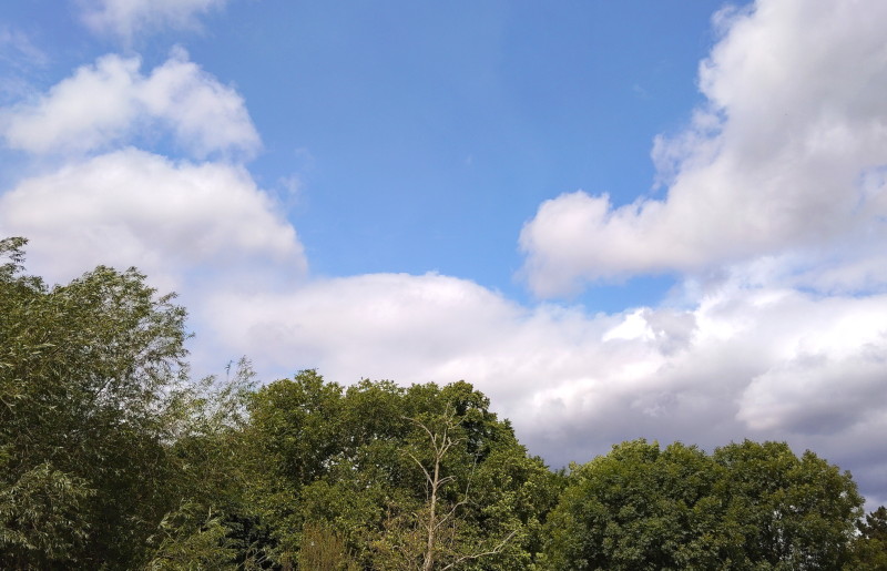 blue
                                          sky and some sunshine