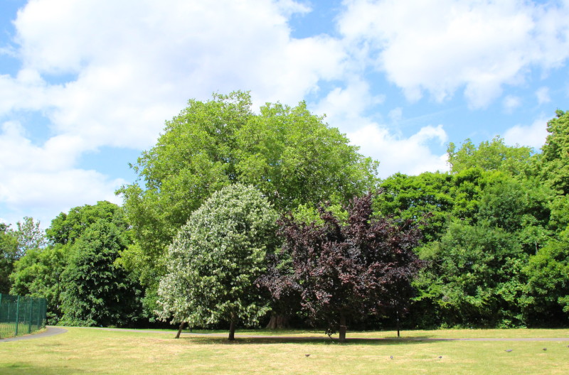 different shades of
                                            green