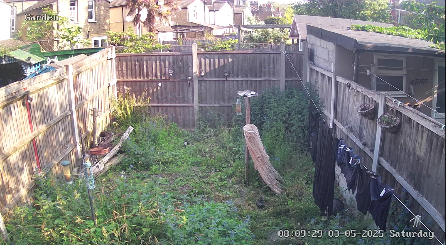 washing on washing line
                                            to dry