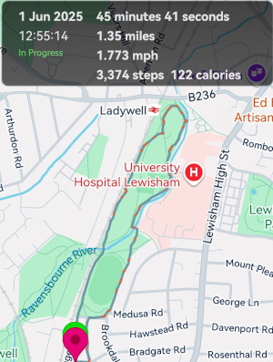 my walk
