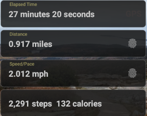 speed and
                                                    distance