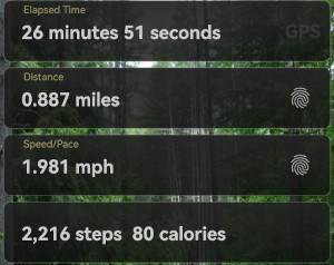 speed and
                                                    distance