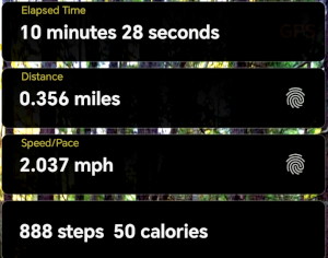 Catford Bridge station to
                                    home