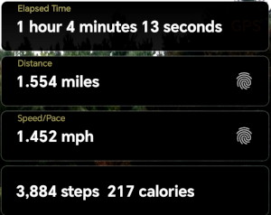 distance, speed and time