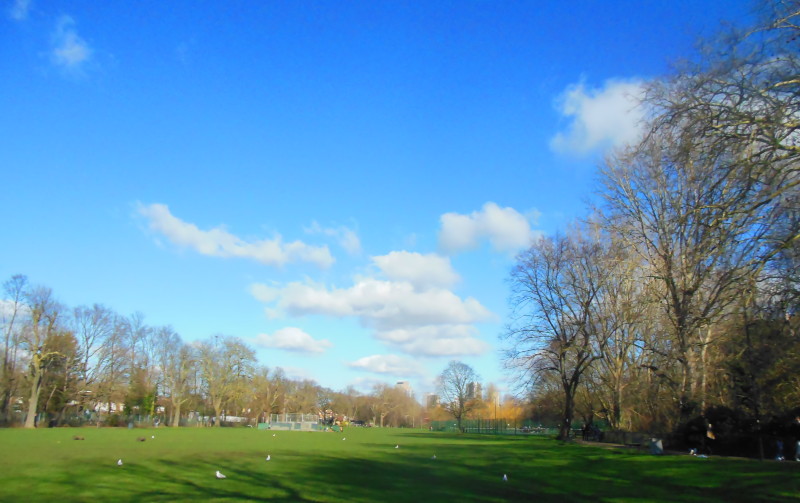 Blue sky
                                      and sunshine