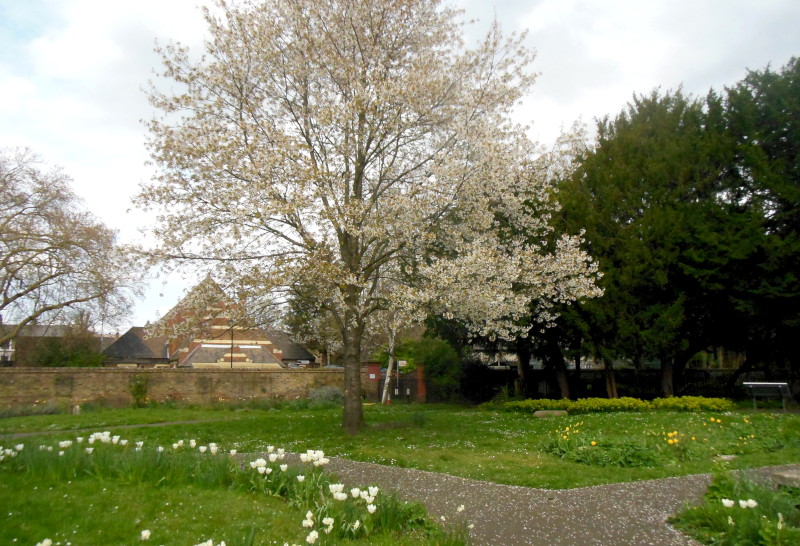 Therapeutic garden