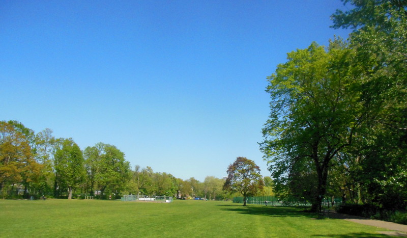 lovely blue sky