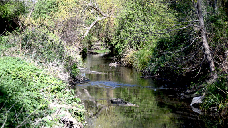 River
                                      Pool nature walk
