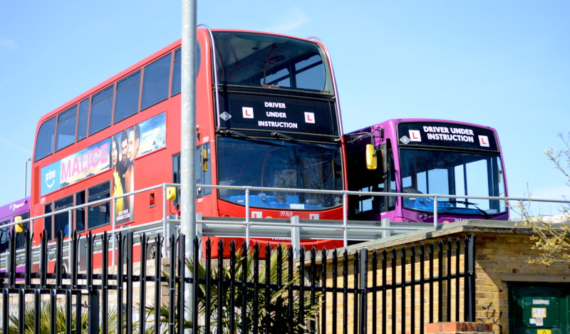training
                                      buses