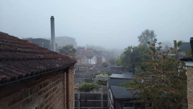 misty morning