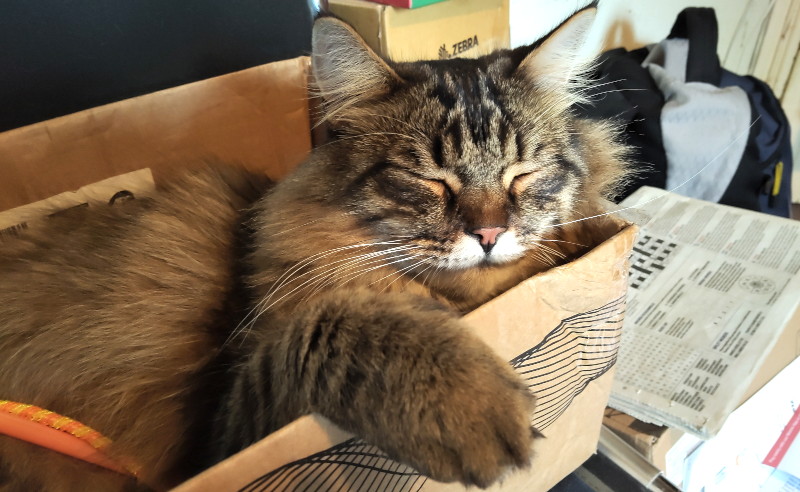 tird
                                          and almost snoozing