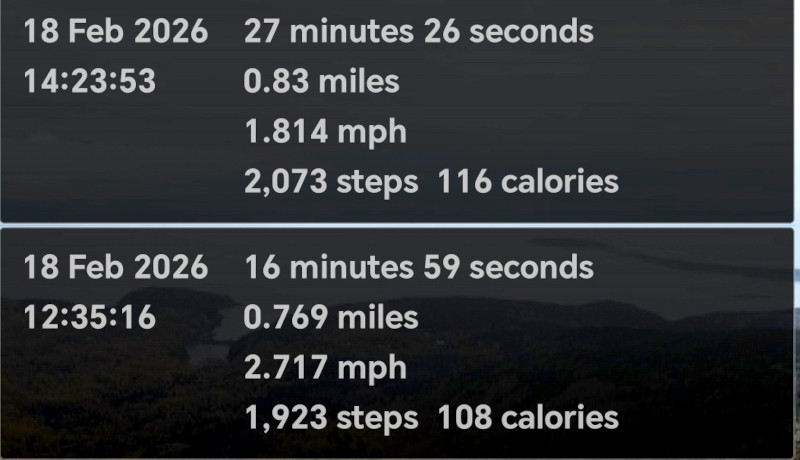 walk
                                      there and back