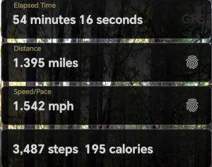 my walk