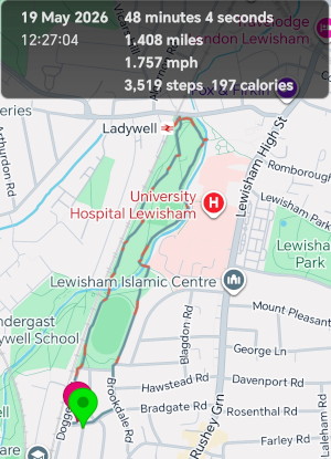 my walk