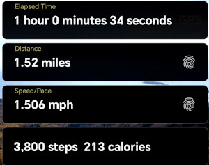 a 1.5 mile walk