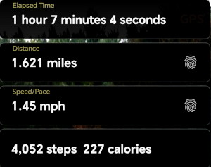 1.6 miles this time