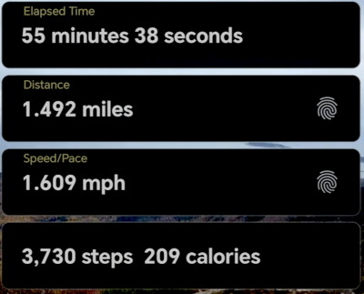 my walk details