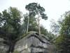 Trees on top of "High Rocks"